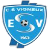 Logo de Vigneux Bretagne ES