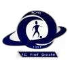 Logo de Le Fief Gesté FC